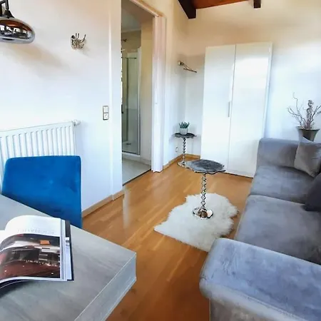 Stadtvilla Mit Sauna & Garten Apartment