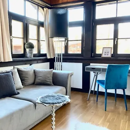 Stadtvilla Mit Sauna & Garten Apartment *